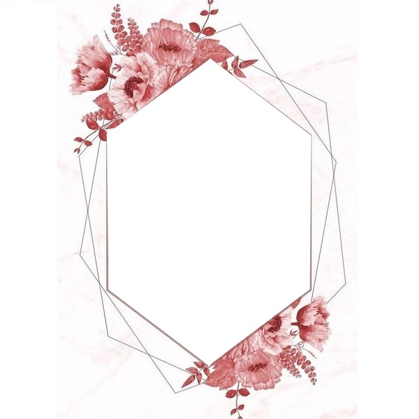 hexágono sobre flores, palo rosa. Fotomontagem