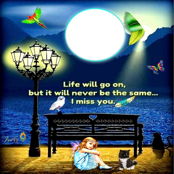 life will go on Montage photo