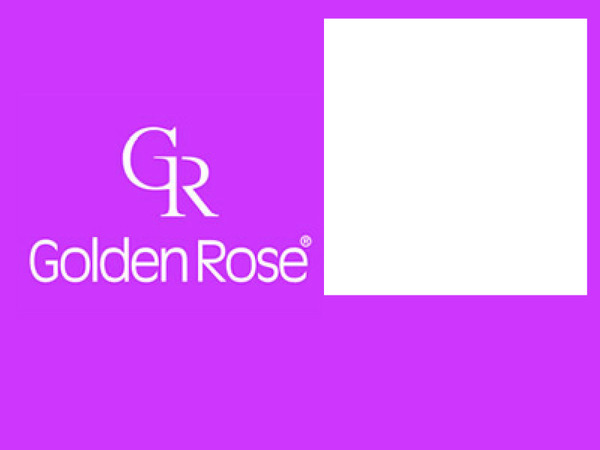 Golden Rose 1 Photo frame effect