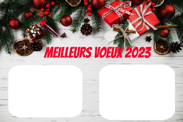 MEILLEURS VOEUX 2023 Фотомонтаж