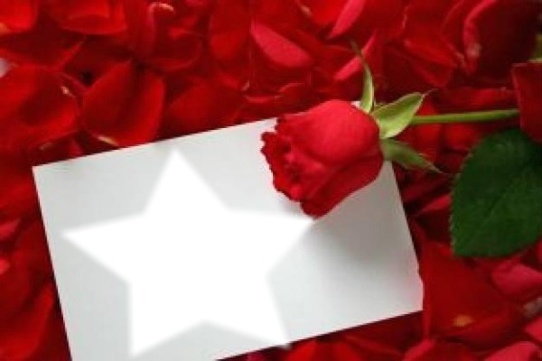 courrier & rose Fotomontage