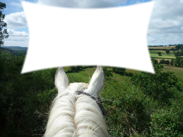 paaysage chevaux Photo frame effect