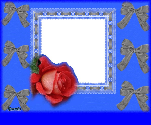 modrý s ružou Photo frame effect
