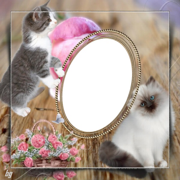 cadre fleuri et chat Фотомонтаж