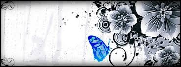 capa de borboleta e flor Photomontage