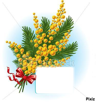 mimosas Φωτομοντάζ