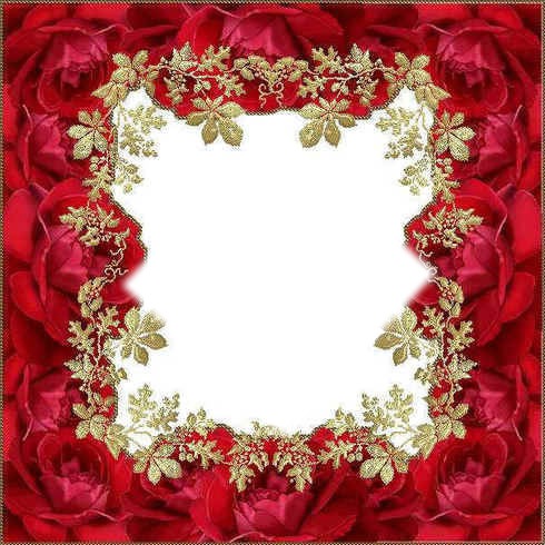 Cadre rouge avec des roses Фотомонтаж