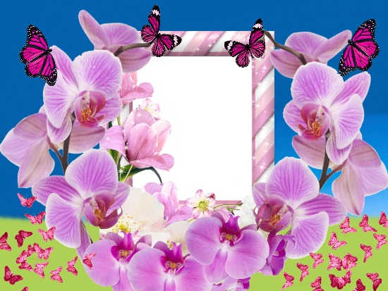 Cc Orquídeas y mariposas Фотомонтаж
