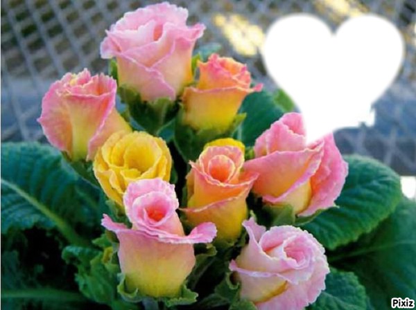 Des Roses pour te dire je t'aime MAMAN Fotomontāža