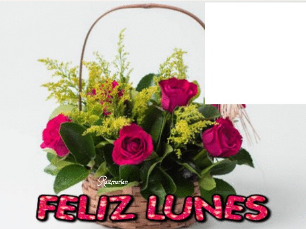 linda flores para ti Fotomontaż