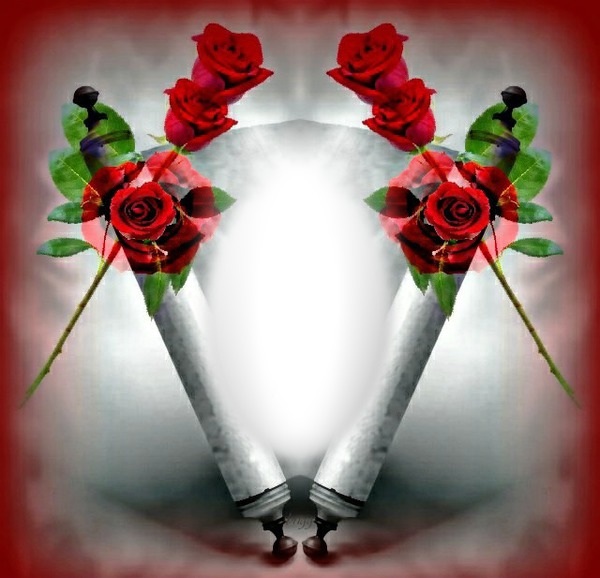 Roses rouge Φωτομοντάζ