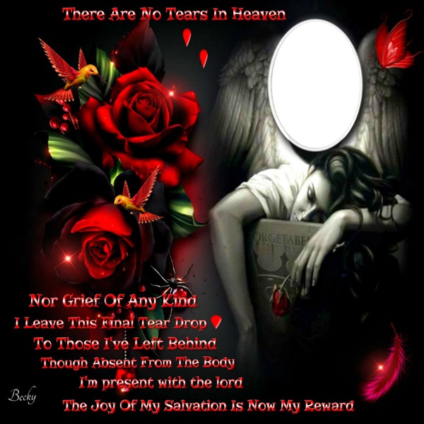 no tears in heaven Montage photo