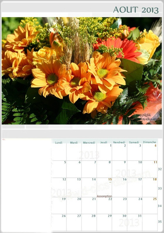Calendrier mensuel 2013* Fotomontažas