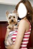 fille avec son chien Photomontage