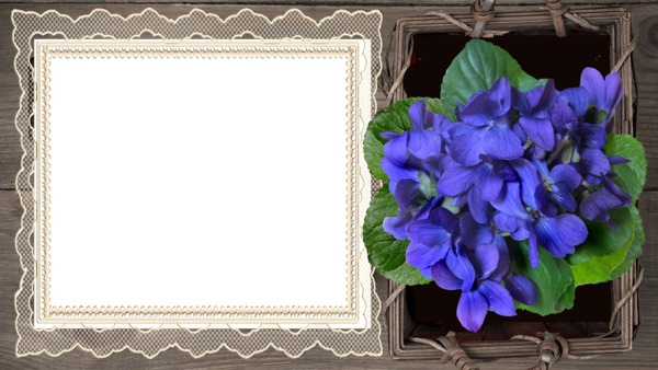 Кружевная рамка с синими цветами Fotómontázs