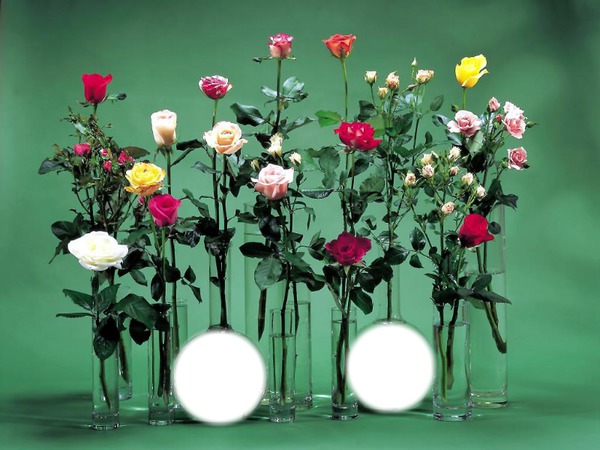 bouquets de fleurs Fotomontage
