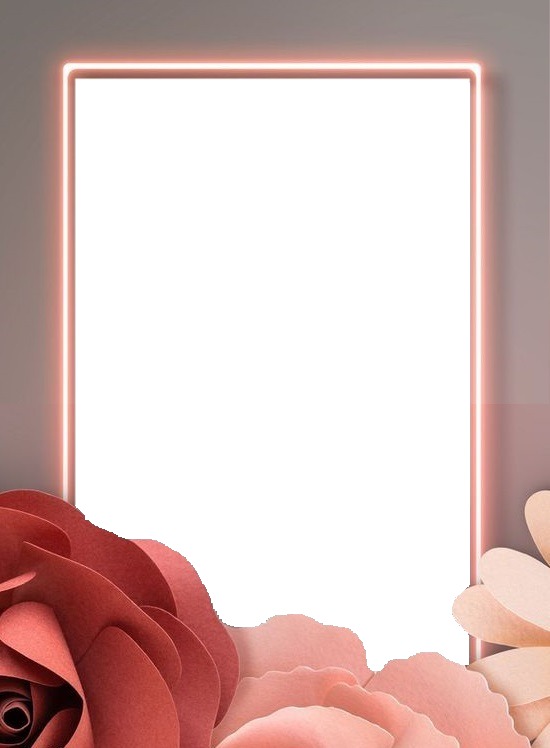 marco neón y rosas. Photo frame effect