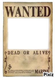 Wanted-One piece Fotomontage