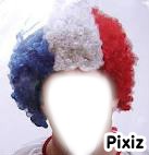 1-perruque-de-fou de OH MY DOLLZ Photomontage