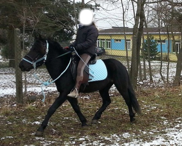 cheval Valokuvamontaasi