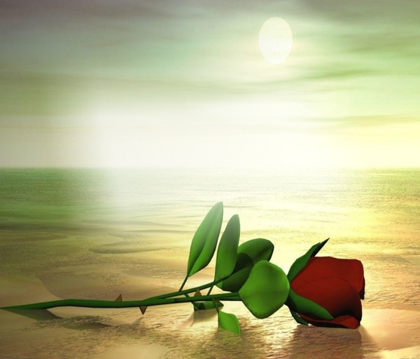 eine rote Rose für dich Fotomontaż