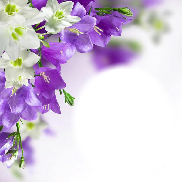 bloemen Fotomontasje