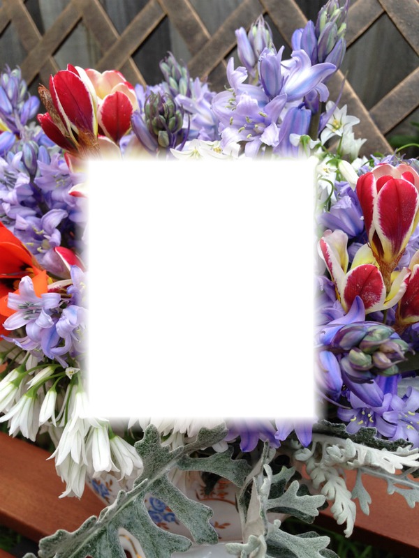 flower frame Fotomontaż