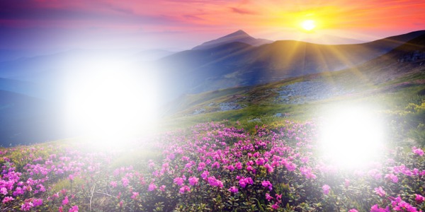 fleur montagne Фотомонтаж