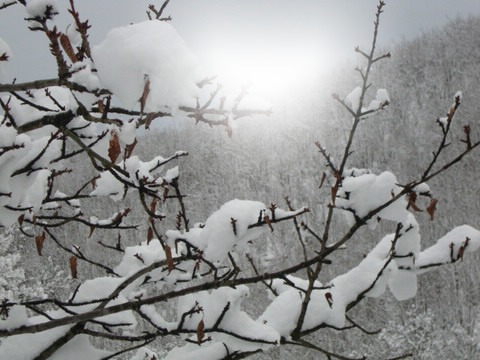 neige Fotomontaža