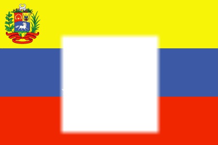 bandera de venezuela Montaje fotografico