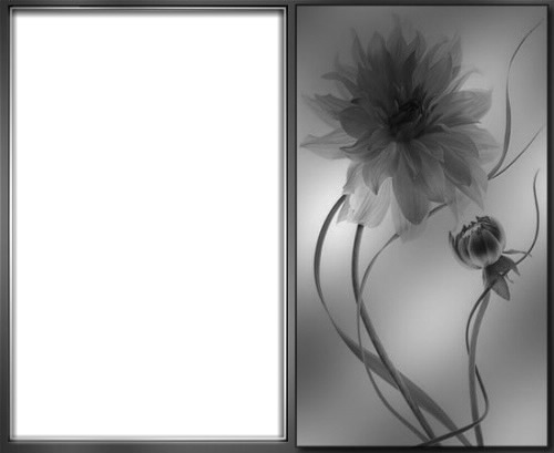 noir & blanc Photo frame effect