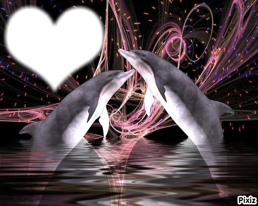 dauphins de coeur Fotomontage