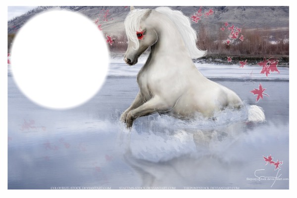 Canada Horse Photo frame effect