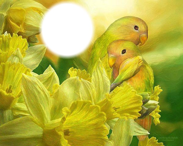 yellow birds Fotomontasje