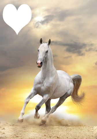 paarden hart Fotomontage