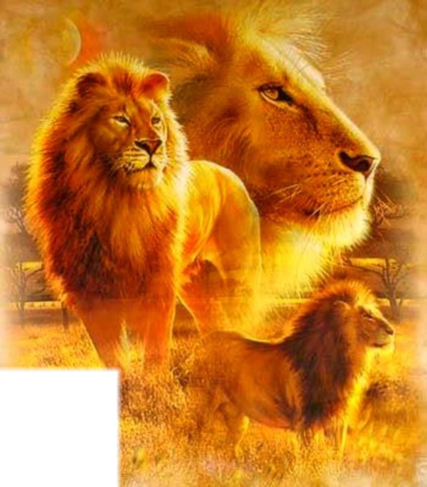 les lions Fotomontaggio