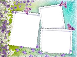 quince Photo frame effect