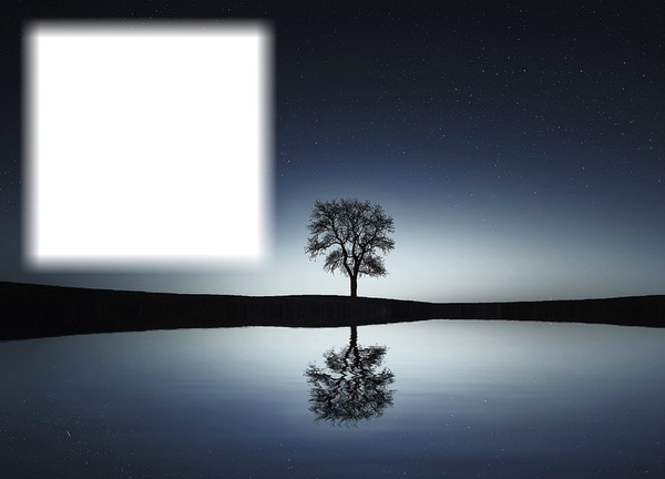 Obscurité-nuit-arbre Montaje fotografico