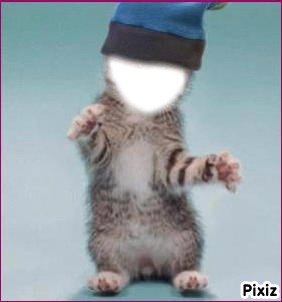 CHAT ALORS Photo frame effect