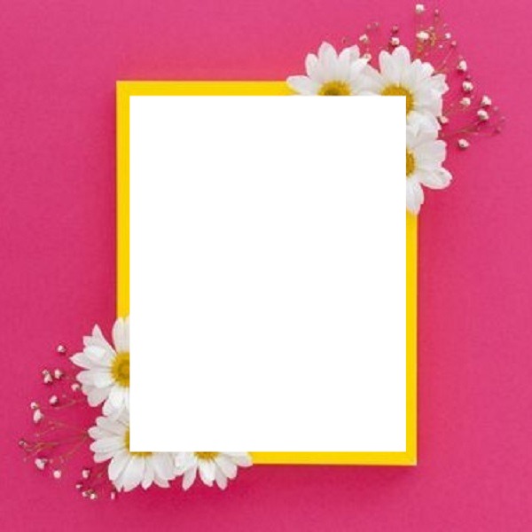 marco amarillo y flores, en fondo fucsia2. Photomontage