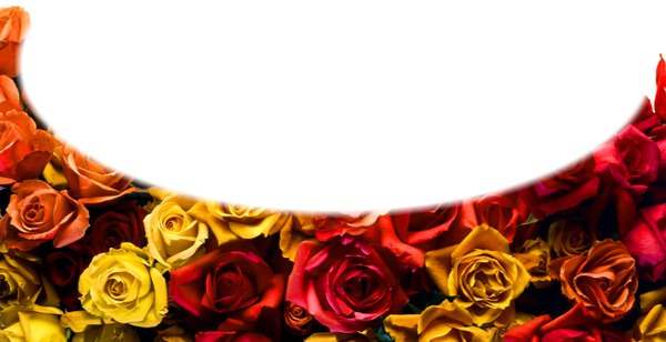 cadre fleur rose Fotomontažas