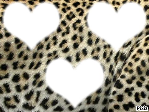 leopard Fotomontaža