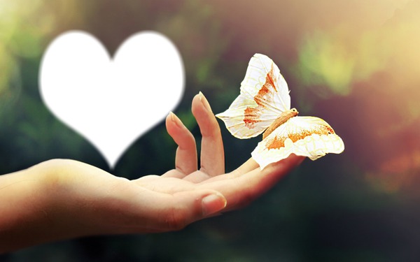butterfly hand Photo frame effect