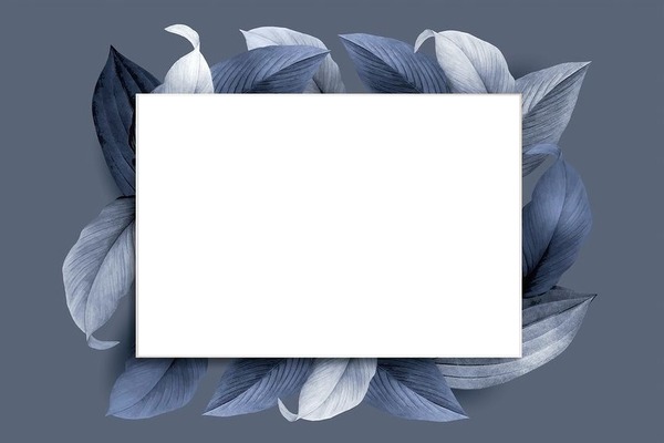 marco, fondo y hojas azules, 1 foto Fotomontaggio