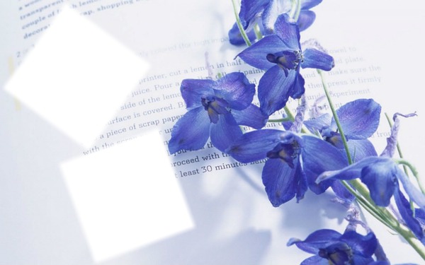 trés fleurs bleue Fotomontasje