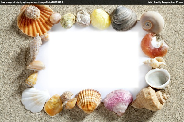 shell Photo frame effect