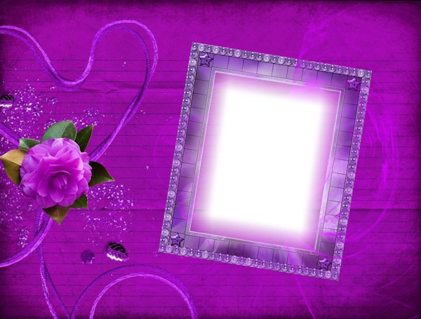 Cadre fleurs purple Photo frame effect