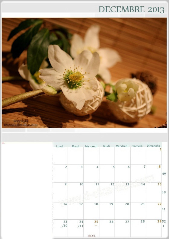 Calendrier mensuel 2013* Fotomontaggio