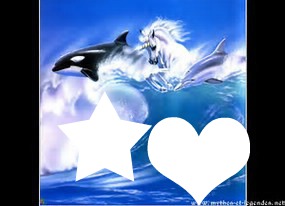 dauphins et chevaux2 Valokuvamontaasi