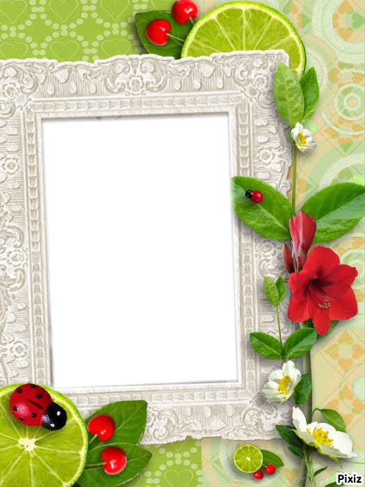 Cadre coccinelle Photo frame effect